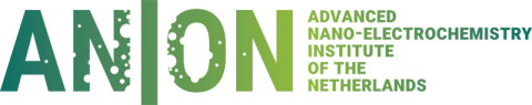 ANION logo with text